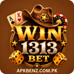 WIN 1313 Game